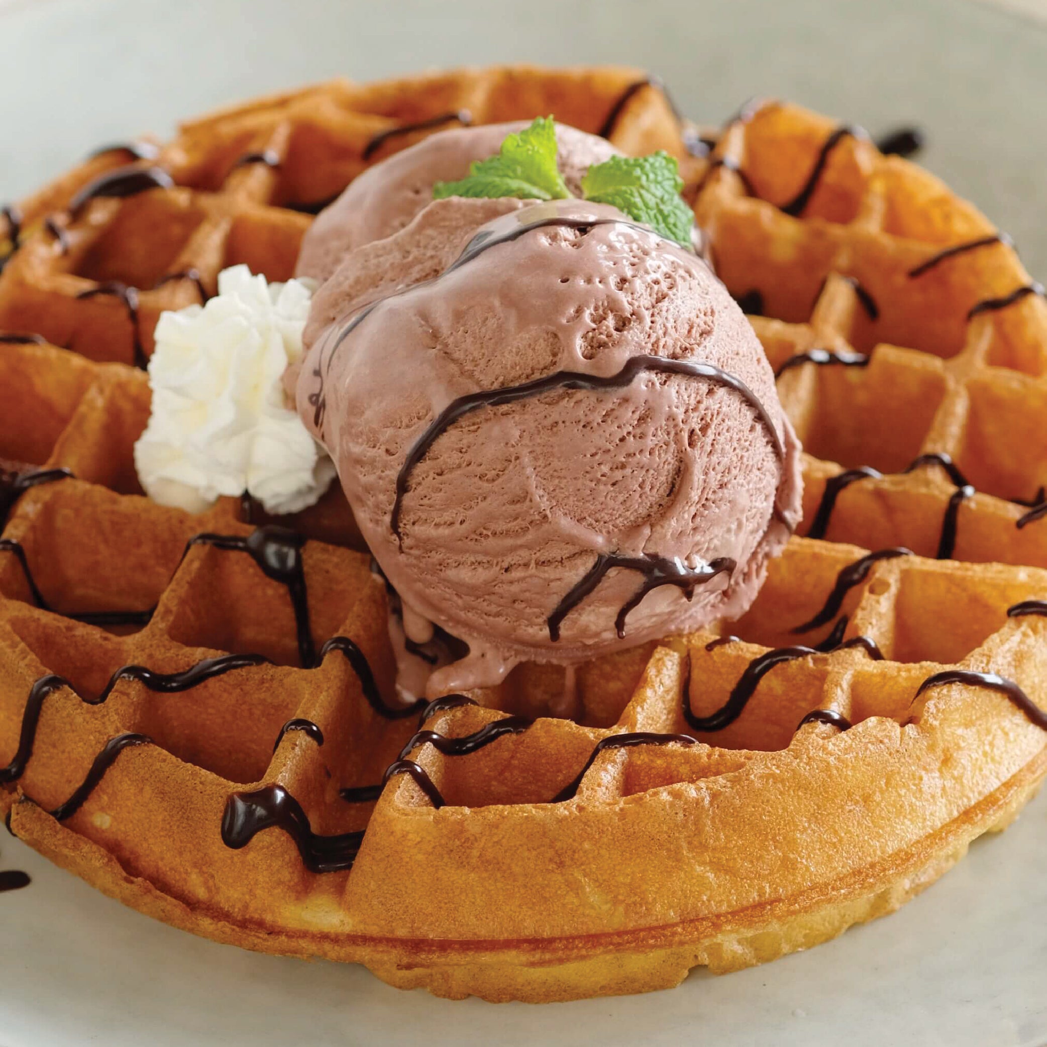 Ice Cream Waffle